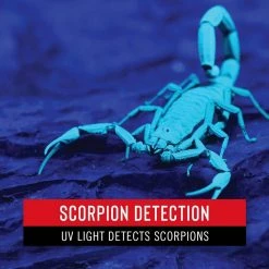PX100 Scorpion Detecting UV Pocket Light by Coast -Dasco Pro Sales Store coast handheld flashlights px100 1f 1000